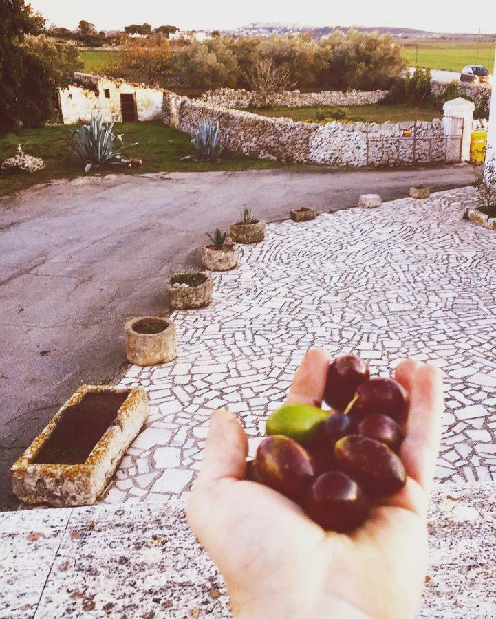 Masseria Cassiere Мотолла Екстер'єр фото