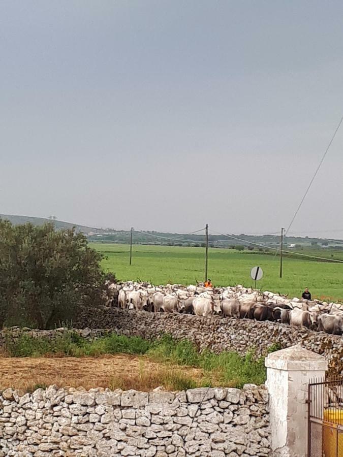 Masseria Cassiere Мотолла Екстер'єр фото